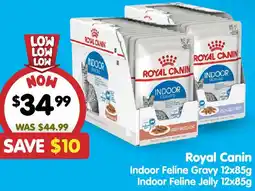 PetO Royal Canin Indoor Feline Gravy Indoor Feline Jelly offer