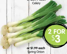 Spudshed Spring Onion offer