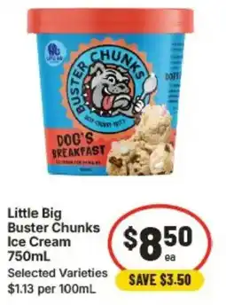 IGA Little Big Buster Chunks Ice Cream offer