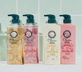 Herbal essences shampoo or conditioner 490ml