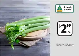 Foodworks Farm Fresh Celery offer