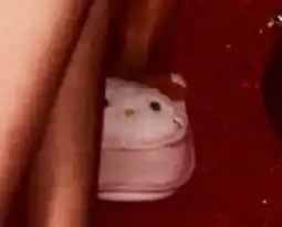 Target Hello Kitty slippers offer