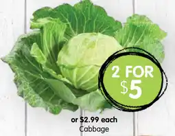 Spudshed Cabbage offer