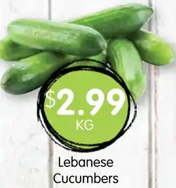 Spudshed Lebanese Cucumbers offer