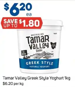 Foodland Tamar Valley Greek Style Yoghurt offer