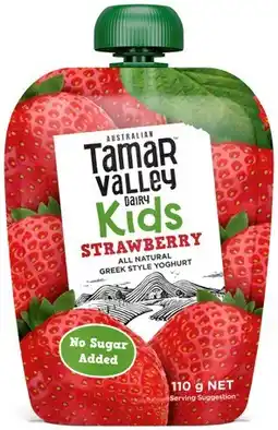 IGA Tamar Valley Kids Greek Yoghurt 110g Selected Varieties offer