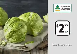 Foodworks Crisp Iceberg Lettuce offer
