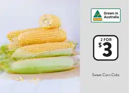 Foodworks Sweet Corn Cobs offer