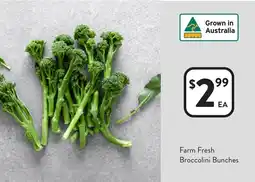 Foodworks Farm Fresh Broccolini Bunches offer