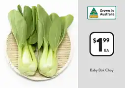 Foodworks Baby Bok Choy offer