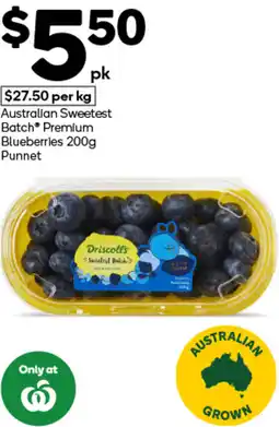 Woolworths Australian Sweetest Batch Premium Blueberries Punnet offer