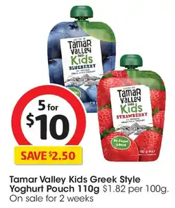 Coles Tamar Valley Kids Greek Style Yoghurt Pouch offer