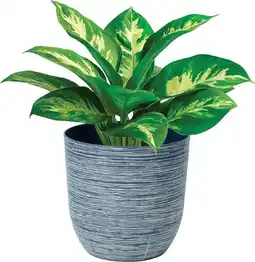 Cheap as Chips Rippled Pot offer