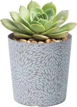 Cheap as Chips Gorgeous Planter offer