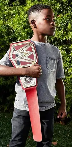 Toymate WWE Championship Wrestling Belt Assorted offer