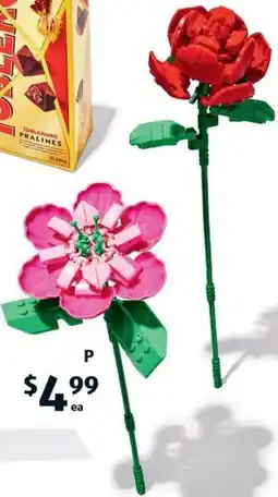 ALDI Blocks in Bloom Assortment offer