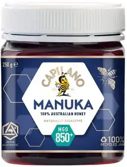 healthylife Capilano MGO 850+ Manuka Honey offer