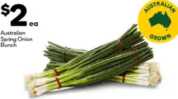 Woolworths Australian Spring Onion Bunch offer