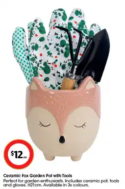 Coles Ceramic Fox Garden Pot with Tools offer