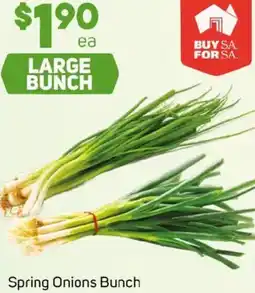 Foodland Spring Onions Bunch offer