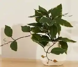 Kmart Artificial Two Tone Trailing Plant offer