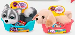 Kmart Little Live Pets My Really Real Puppy Mini Toy offer