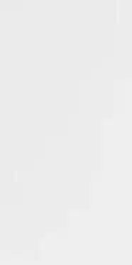 Kmart Mini Blocks Flower Series offer