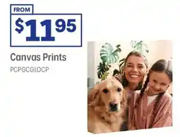 Officeworks Canvas Prints offer