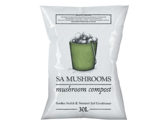 Sa mushrooms mushroom compost