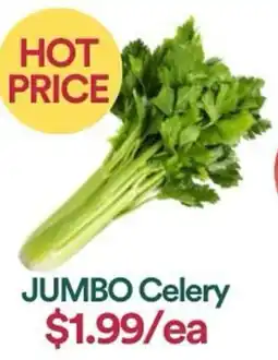 WHOLEFARMS Jumbo celery offer
