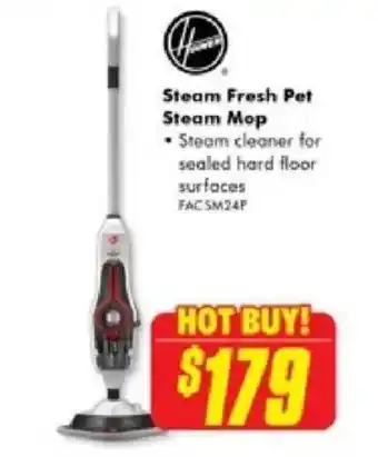 Steam Fresh Pet Steam Mop