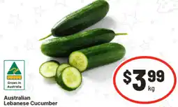 IGA Australian Lebanese Cucumber offer
