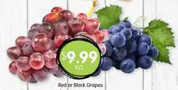 Spudshed Red or Black Grapes offer