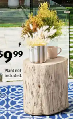 ALDI Ceramic Plant Pot offer