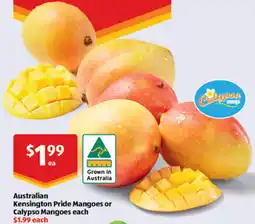 ALDI Australian Kensington Pride Mangoes or Calypso Mangoes offer