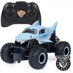 Target Monster Jam RC 1:24. Assorted offer