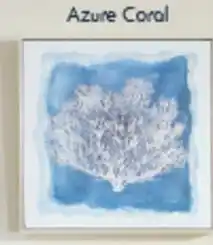 Pillow Talk Azure Coral offer