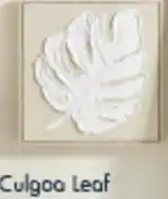 Pillow Talk Culgoa Leaf offer