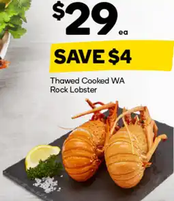 Woolworths Thawed cooked wa rock lobster offer