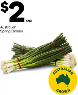 Woolworths Australian Spring Onions offer