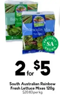 Drakes South australian rainbow fresh lettuce mixes offer