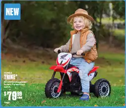 SuperCheap Auto NEW HONDA TRIKE 6V 4AH Rechargeable battery. Forward foot Switch. offer