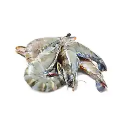 Woolworths Thawed Extra Large Australian Green Tiger Prawns offer