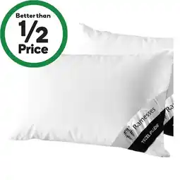 Woolworths Ramesses Tencel Pillow offer