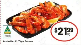 Australian xl tiger prawns