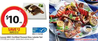 Luxury MSC Certified Thawed Raw Lobster Tail