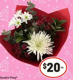 IGA Santa's Posy offer