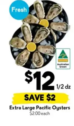 Drakes Fresh Extra Large Pacific Oysters offer