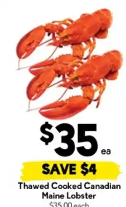 Drakes Thawed cooked canadian maine lobster offer