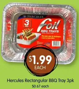 Spudshed Hercules Rectangular BBQ Tray offer